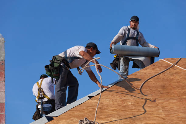 Best Roof Gutter Cleaning  in Calhoun, GA