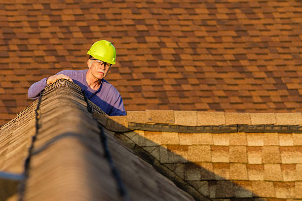 Roof Gutter Cleaning in Calhoun, GA