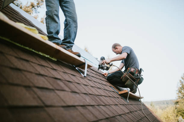 Best Metal Roofing Contractor  in Calhoun, GA